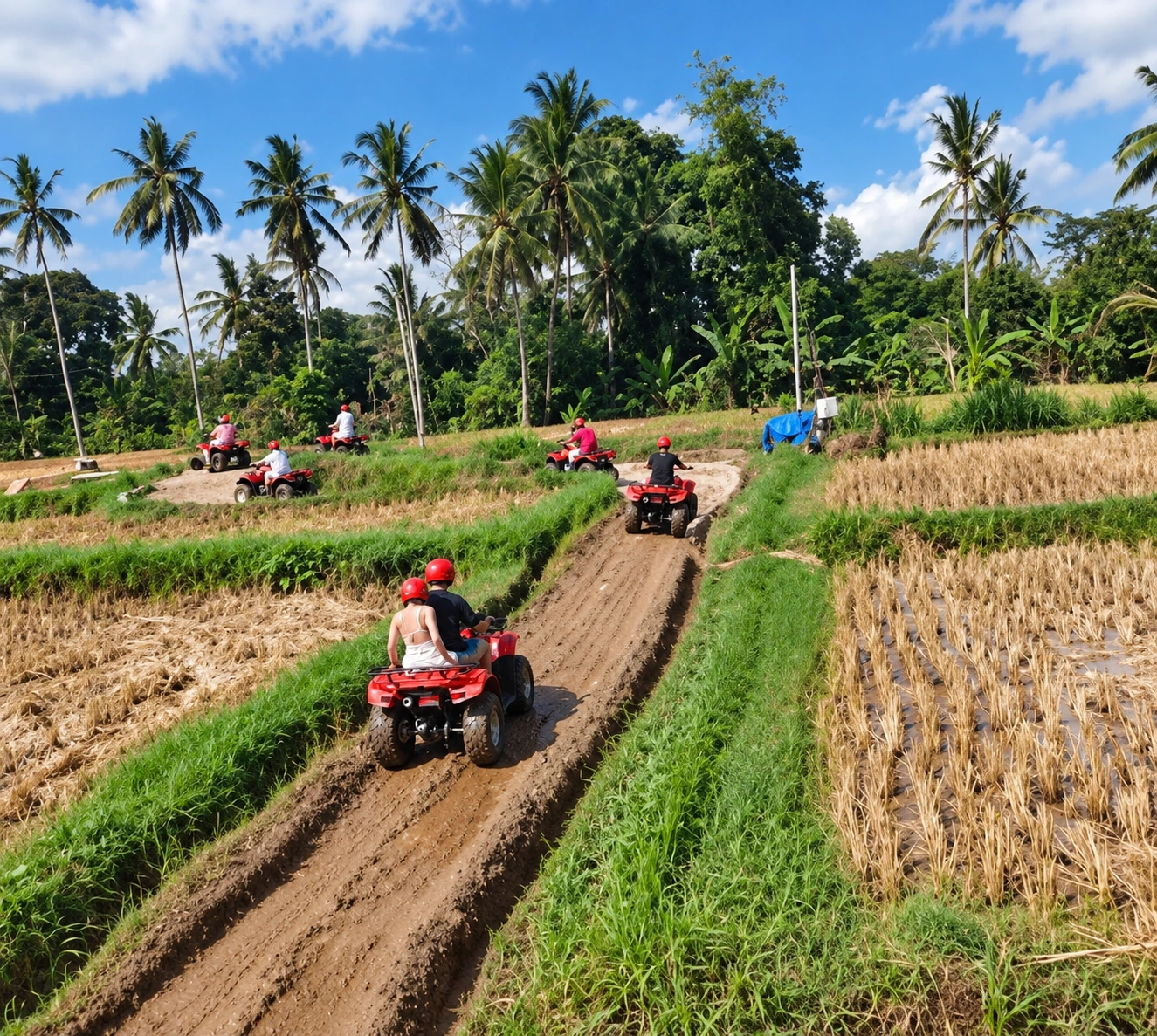 ATV ride through lush rice fields in Ubud