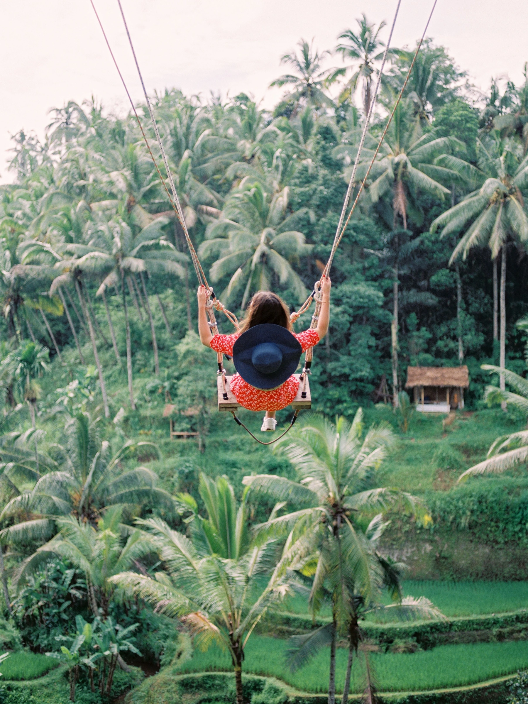Scenic swing overlooking the lush rice fields of Tegalalang