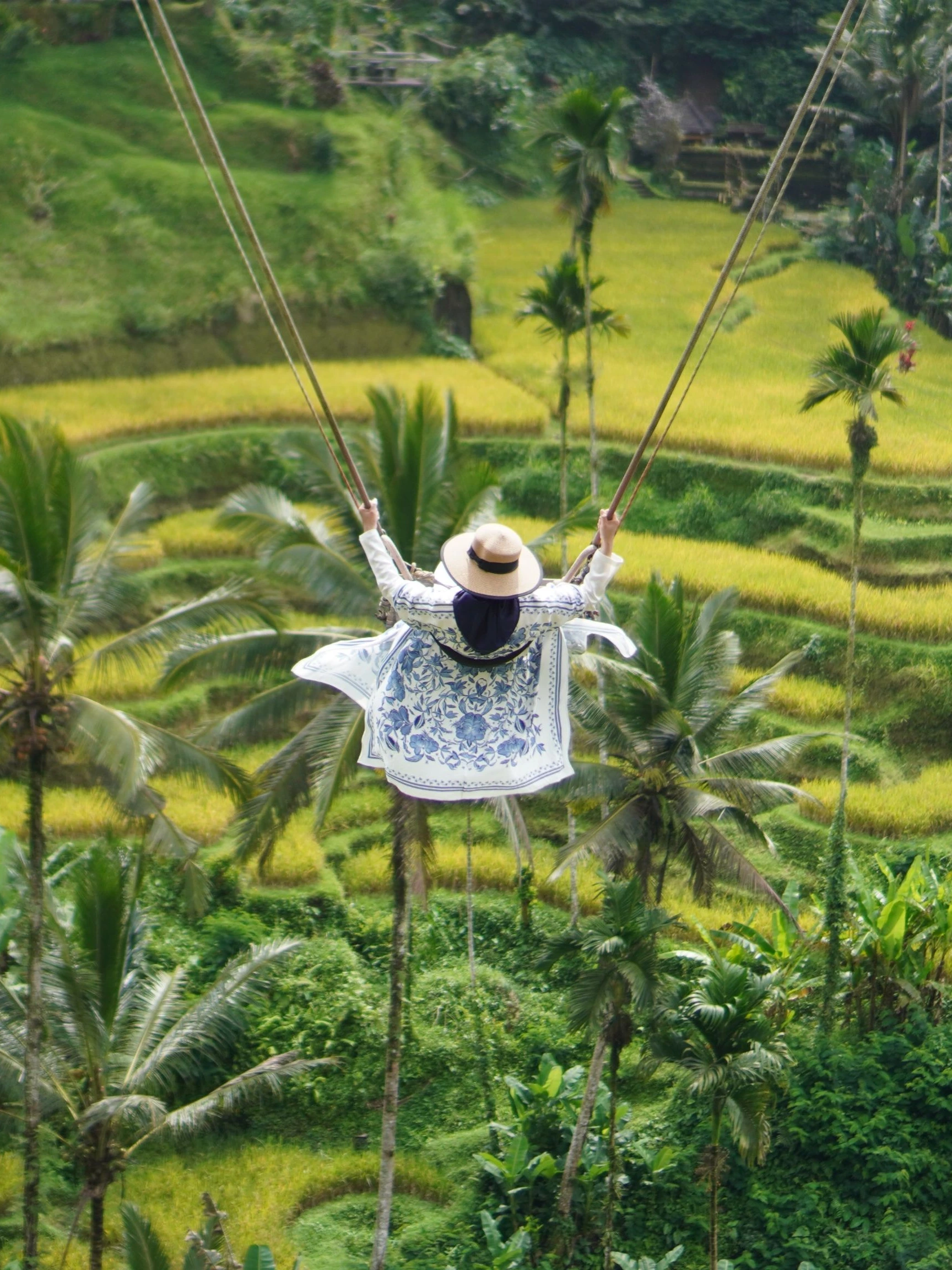 Tegalalang Rice Terrace Swing